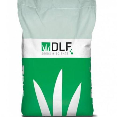 Dán fűmag (DLF Seeds & Sciece) (20 kg)