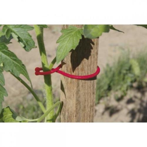 Tomatoclip (Nortene) 25 db